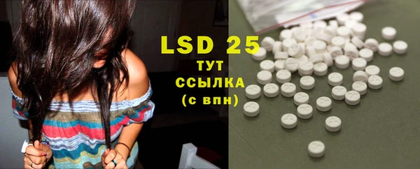 PSILOCYBIN Аркадак
