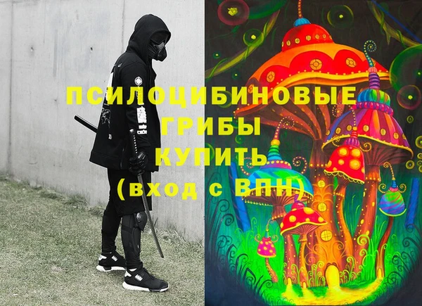 бошки Арсеньев