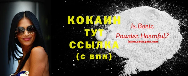 PSILOCYBIN Аркадак